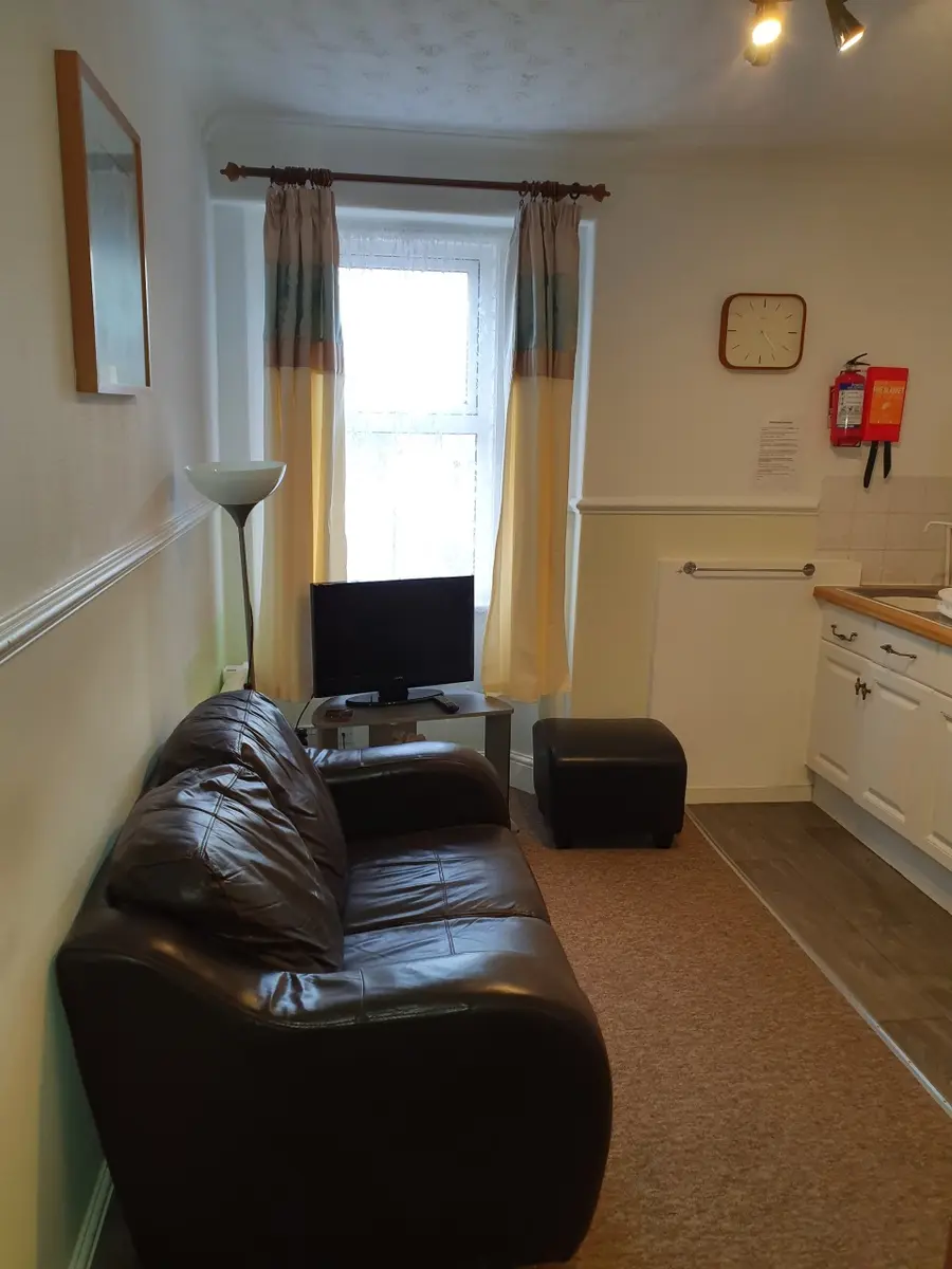 Lounge in the Standard Apartment